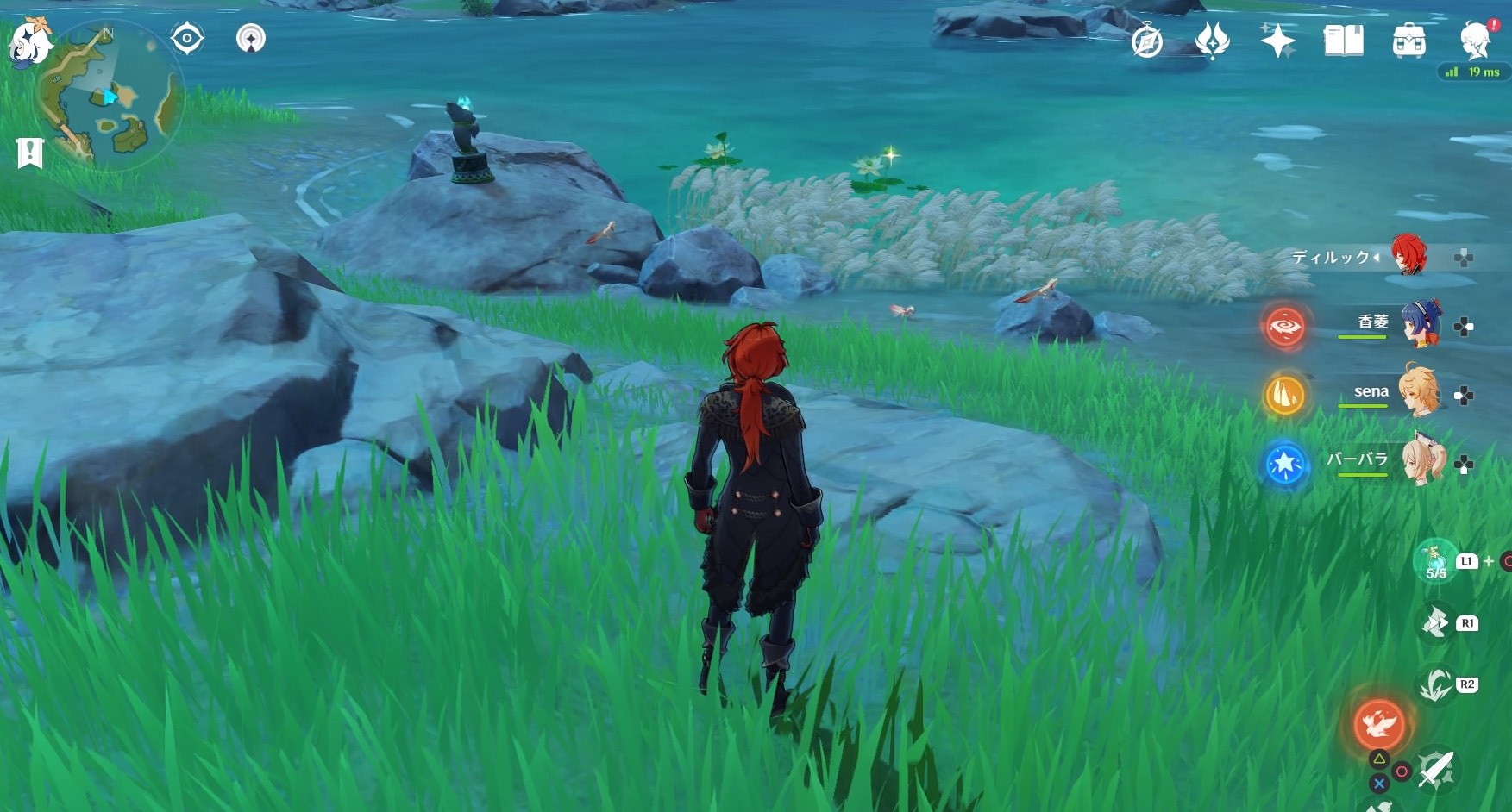 サンショウウオ水辺