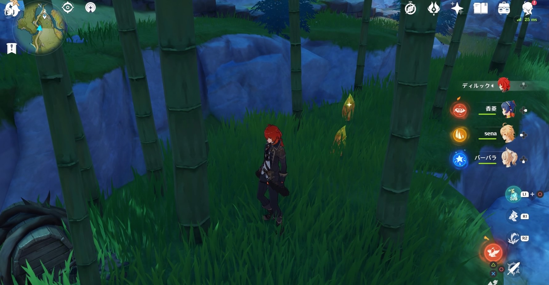 タケノコ入手場所