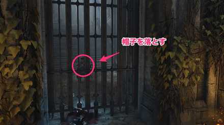 帽子の入手場所