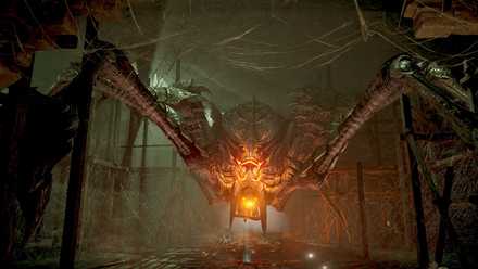 タカアシ鎧蜘蛛