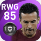 FPペドロ(11/16)の画像