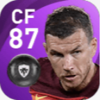 FPエディン・ジェコ(11/16)画像