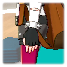 パンクスグローブ