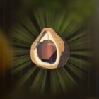 小鳥の木の実画像