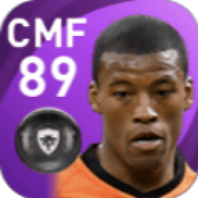 FPジョルジニオ・ワイナルドゥム(11/19)の画像