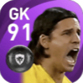 FPヤン・ゾマー(11/19)の画像