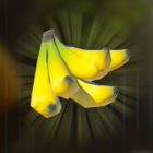 ツルギバナナ画像