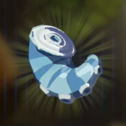 オクタの足画像