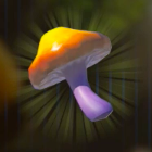 ガッツダケ画像