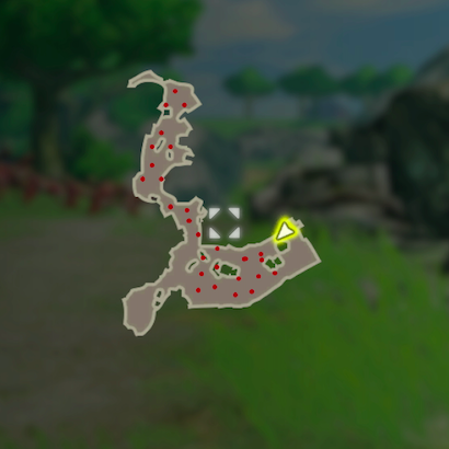 ゼルダの秘密特訓のマップ