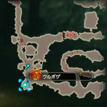 コログ④マップ