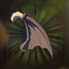 キースの羽画像