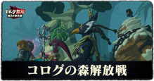コログの森解放戦