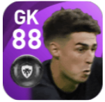 FPケパ(11/23)の画像