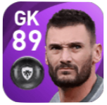 FPウーゴ・ロリス(11/23)の画像