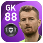 FPルーカシュ・フラデツキー(11/30)の画像