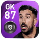 FPパチェコ(12/3)の画像