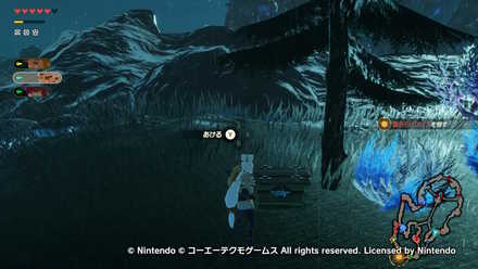 ゾーラ族の姫ミファーの宝箱