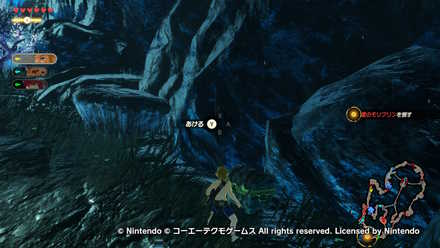 ゾーラ族の姫ミファーの宝箱