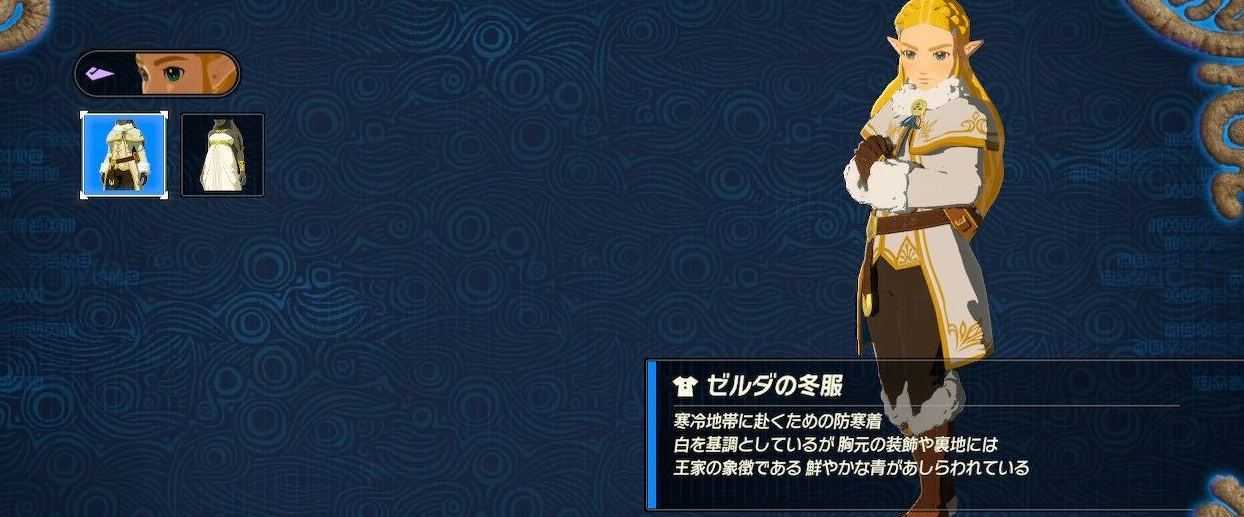 ゼルダコスチューム