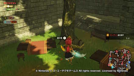 イーガ団急襲の宝箱