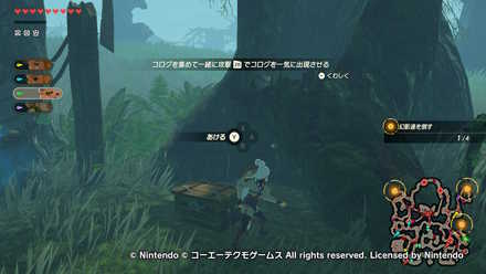 コログの森開放戦の宝箱