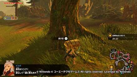 ハイラル城への帰還の宝箱