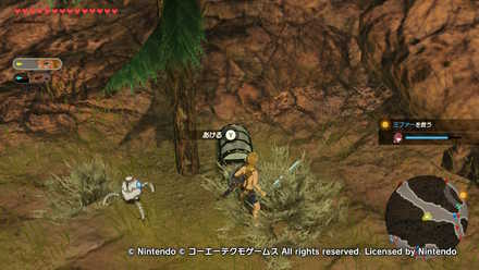 ハイラル東部救援戦の宝箱