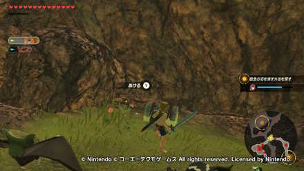 ハイラル東部救援戦の宝箱