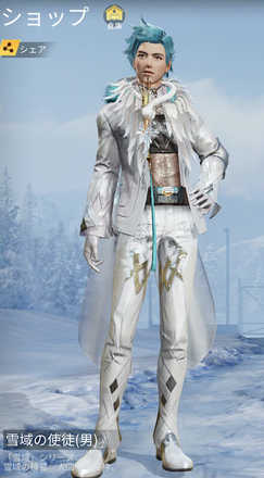 雪域の使徒画像