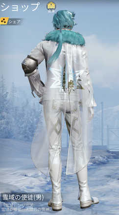 雪域の使徒画像