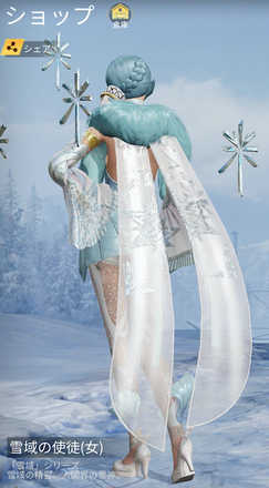 雪域の使徒画像