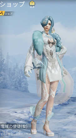 雪域の使徒画像