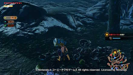 ハイラル西部救援戦の宝箱