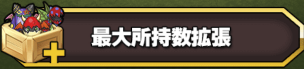最大所持数拡張