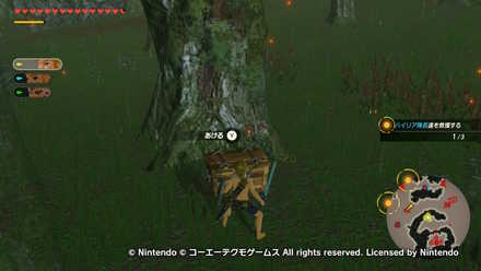 ハテノ砦の戦いの宝箱