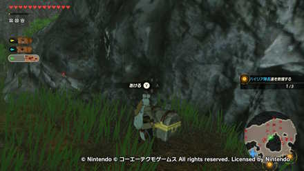 ハテノ砦の戦いの宝箱