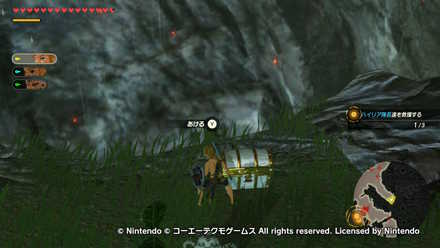 ハテノ砦の戦いの宝箱