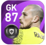 FPプロドラグ・ライコヴィッチ(12/10)の画像