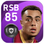 FPセルジーニョ・デスト(12/14)の画像