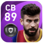 FPピケ(12/14)の画像