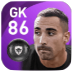 FPアセンホ(12/14)の画像