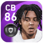 FPジュール・クンデ(12/14)の画像