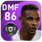 FPフェルナンド(12/14)の画像