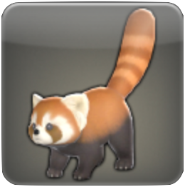 レッサーパンダ