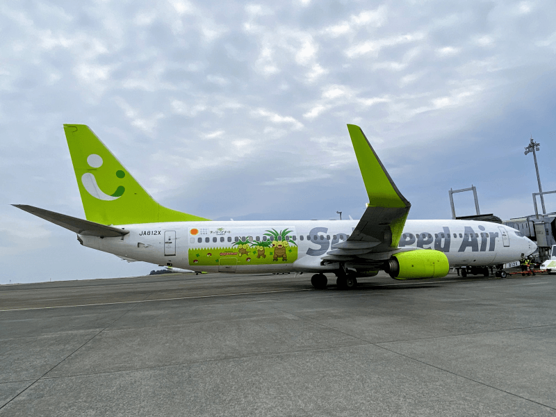 ナッシーリゾートin宮崎号2