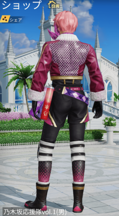 乃木坂応援隊vol.1画像