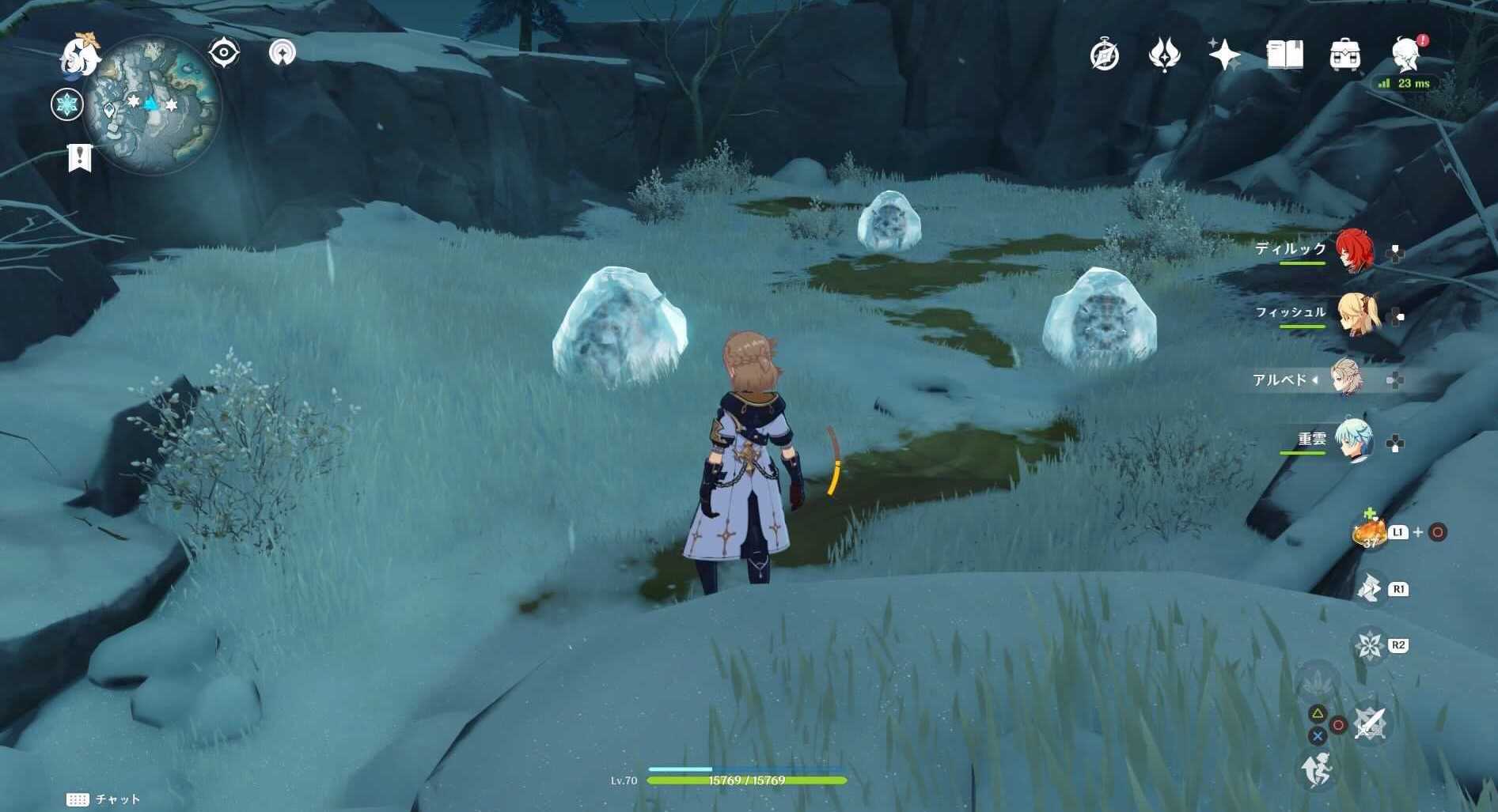 氷漬けのイノシシ