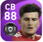 FPハリー・マグワイア(12/28)の画像