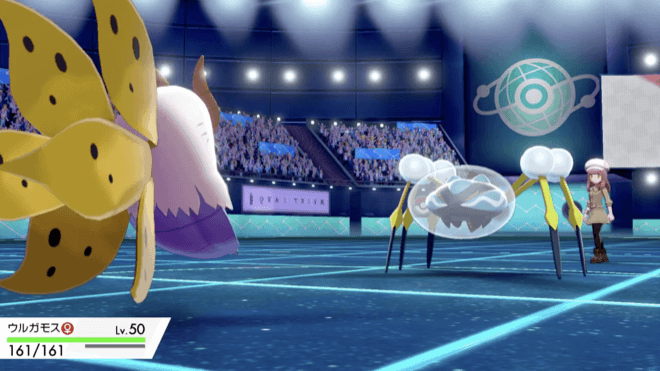 ウルガモスオニシズクモ対面